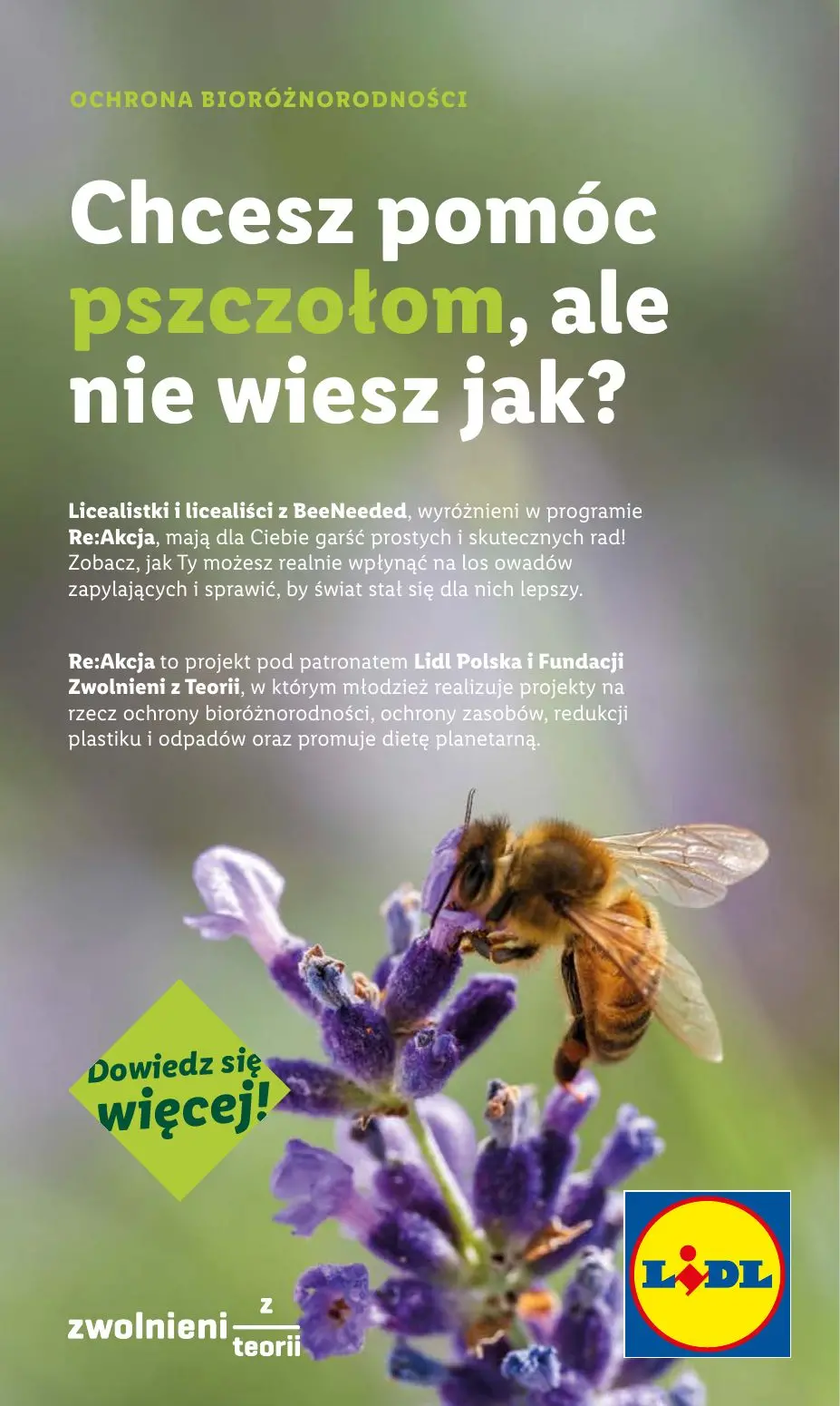 gazetka promocyjna LIDL Od poniedziałku - Strona 58