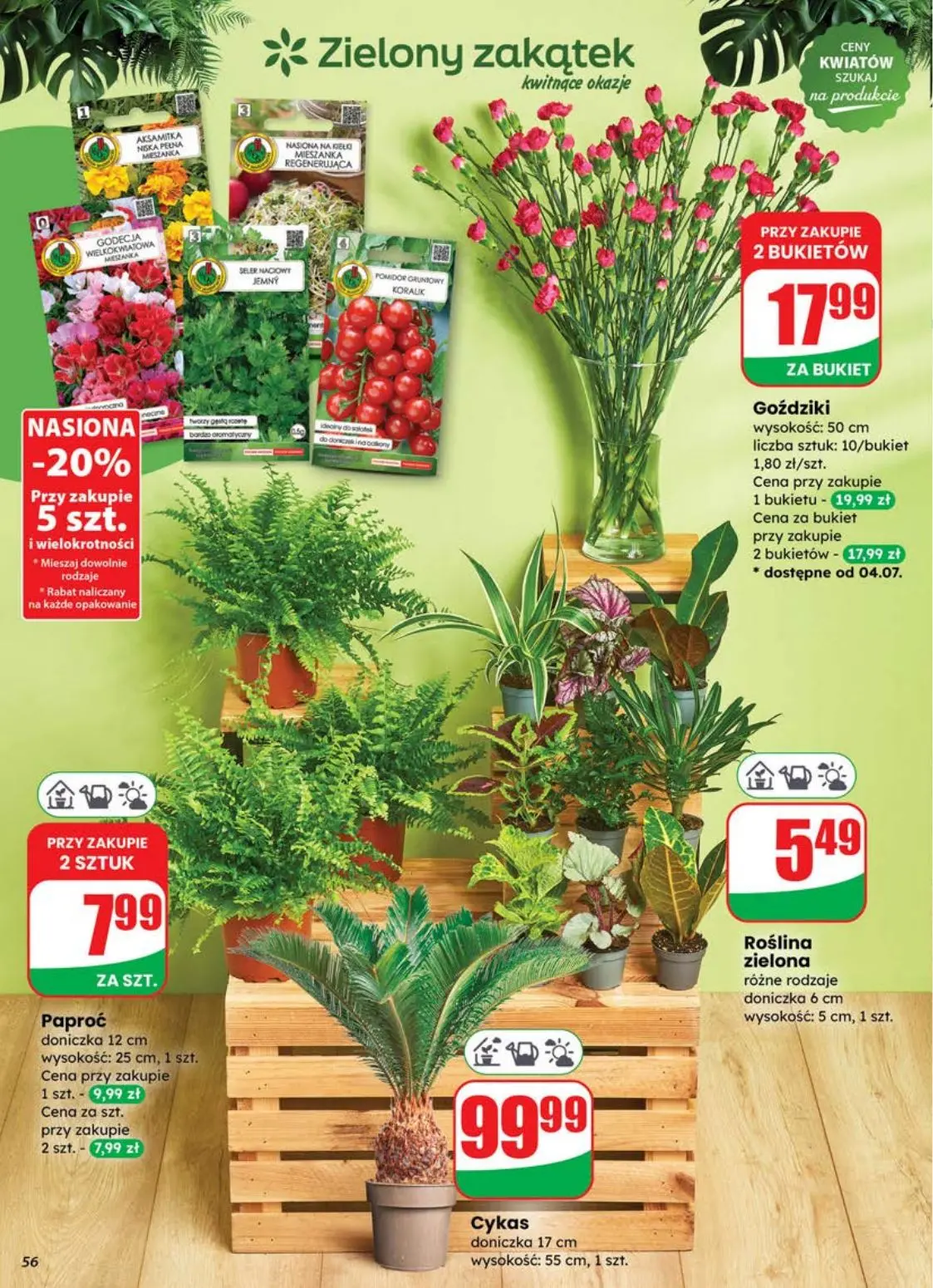 gazetka promocyjna dino Najbliżej Ciebie - Strona 56