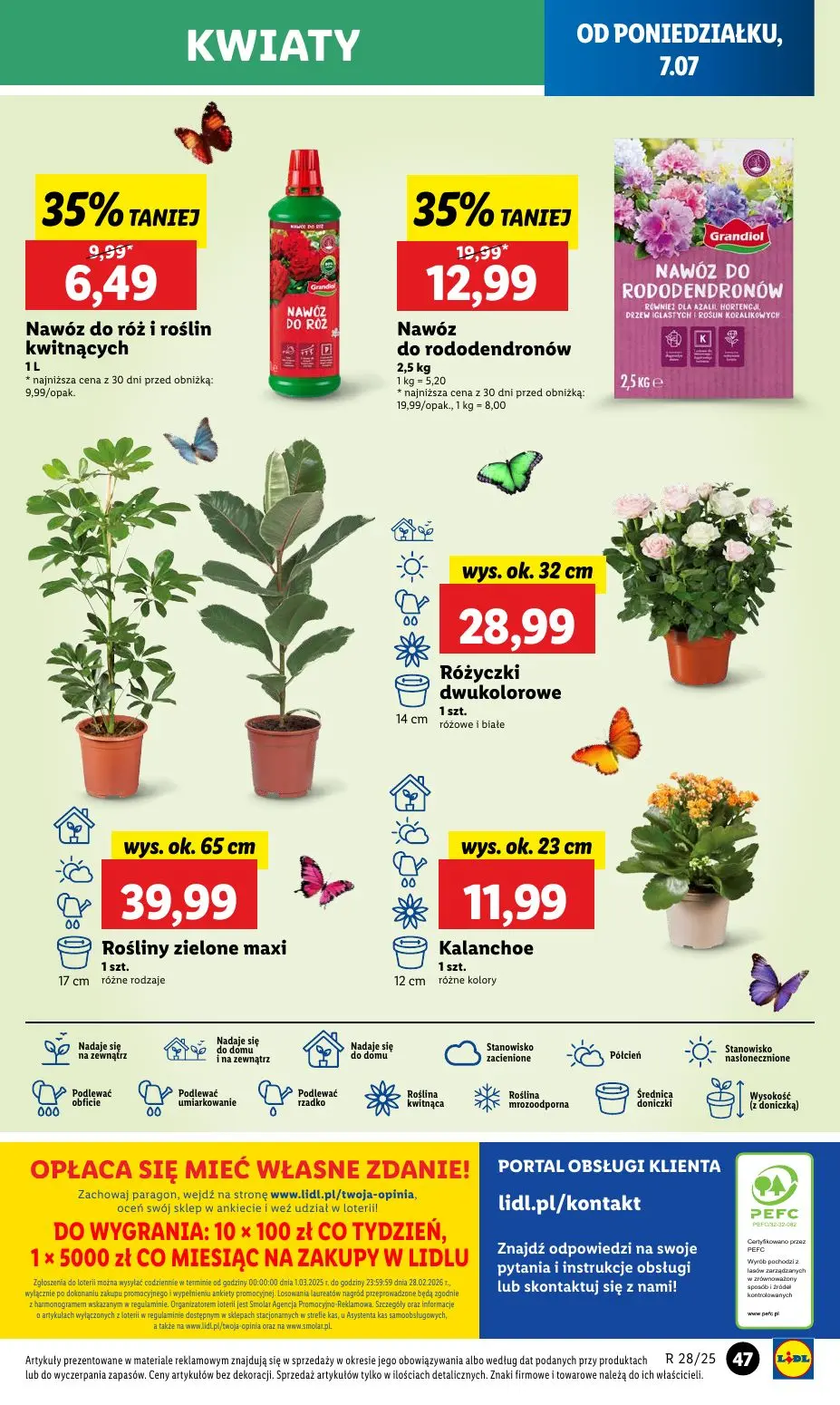 gazetka promocyjna LIDL Od poniedziałku - Strona 55