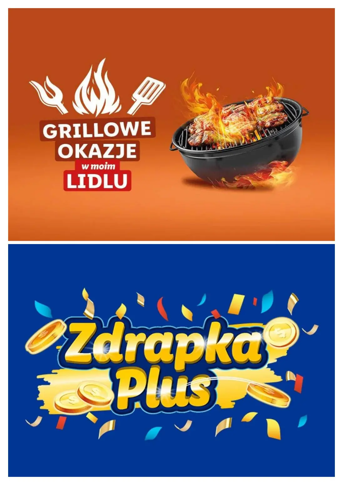 gazetka promocyjna LIDL Zakupy robię w moim Lidlu od czwartku - Strona 13