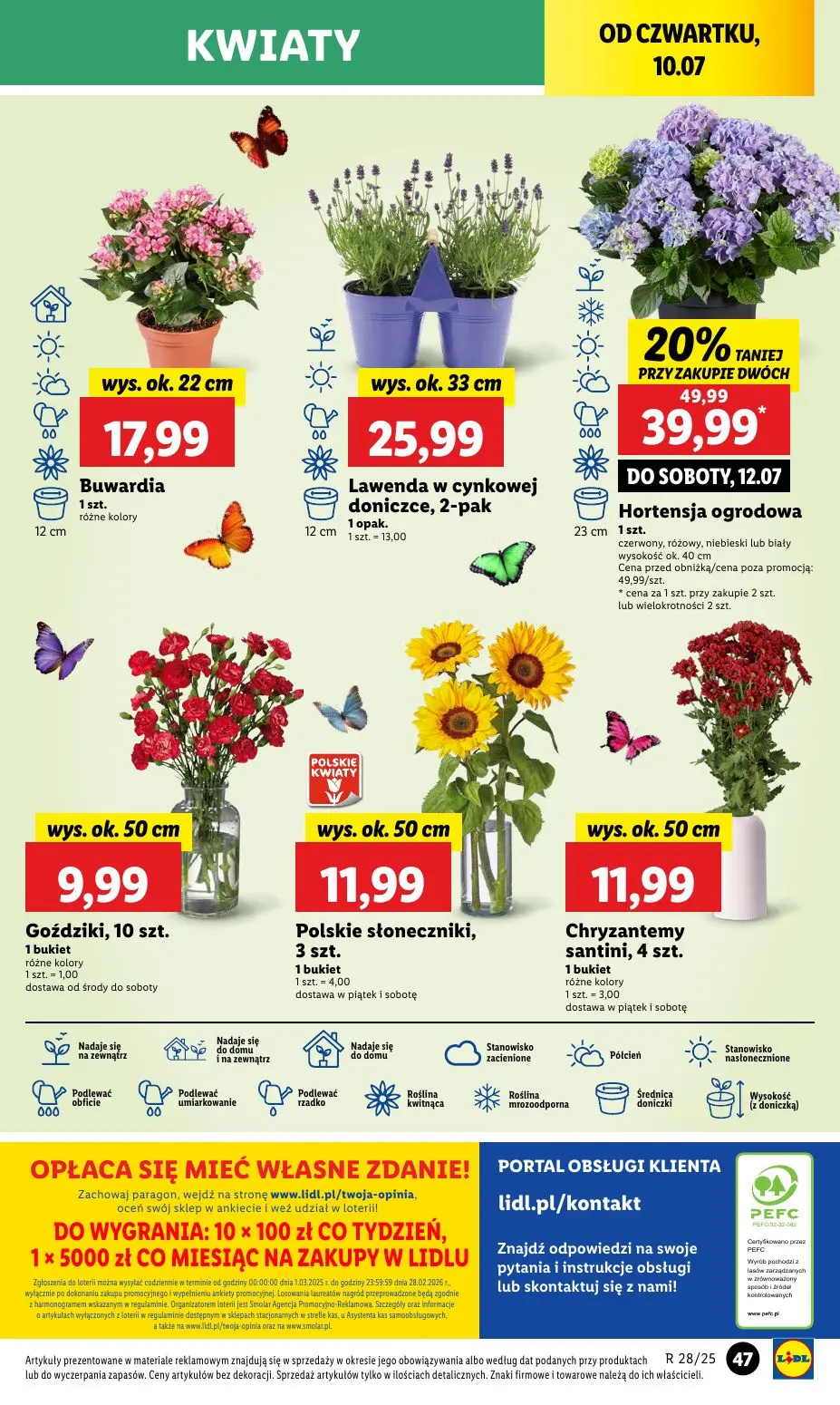 gazetka promocyjna LIDL Od czwartku - Strona 61