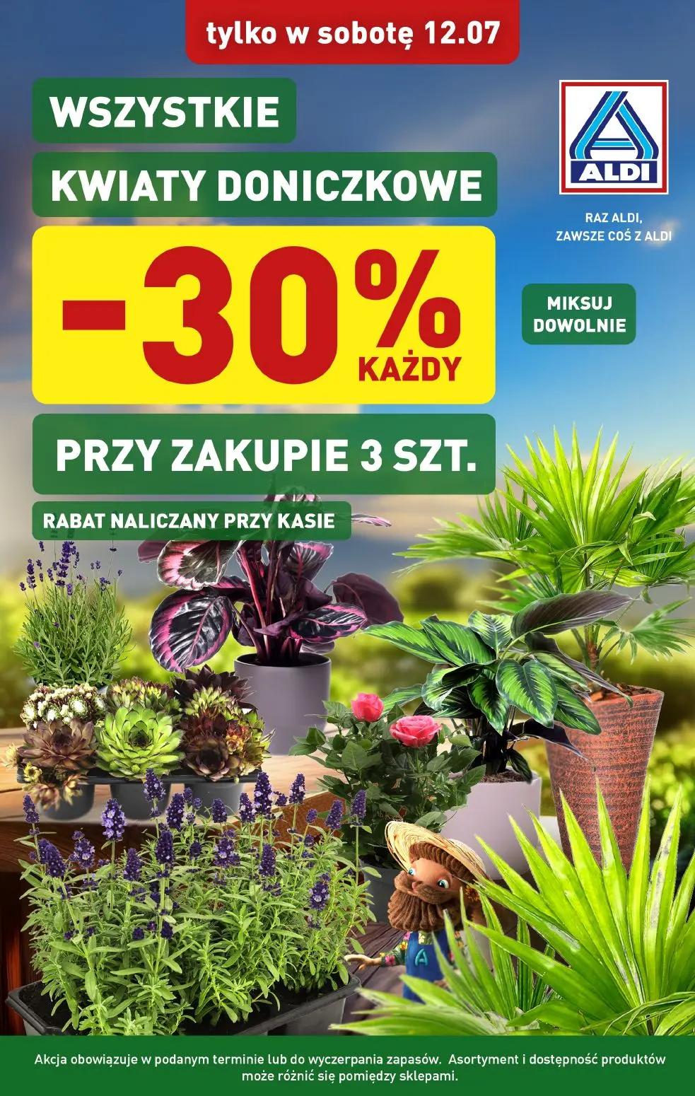 gazetka promocyjna ALDI Rośliny doniczkowe 🪴 - Strona 1