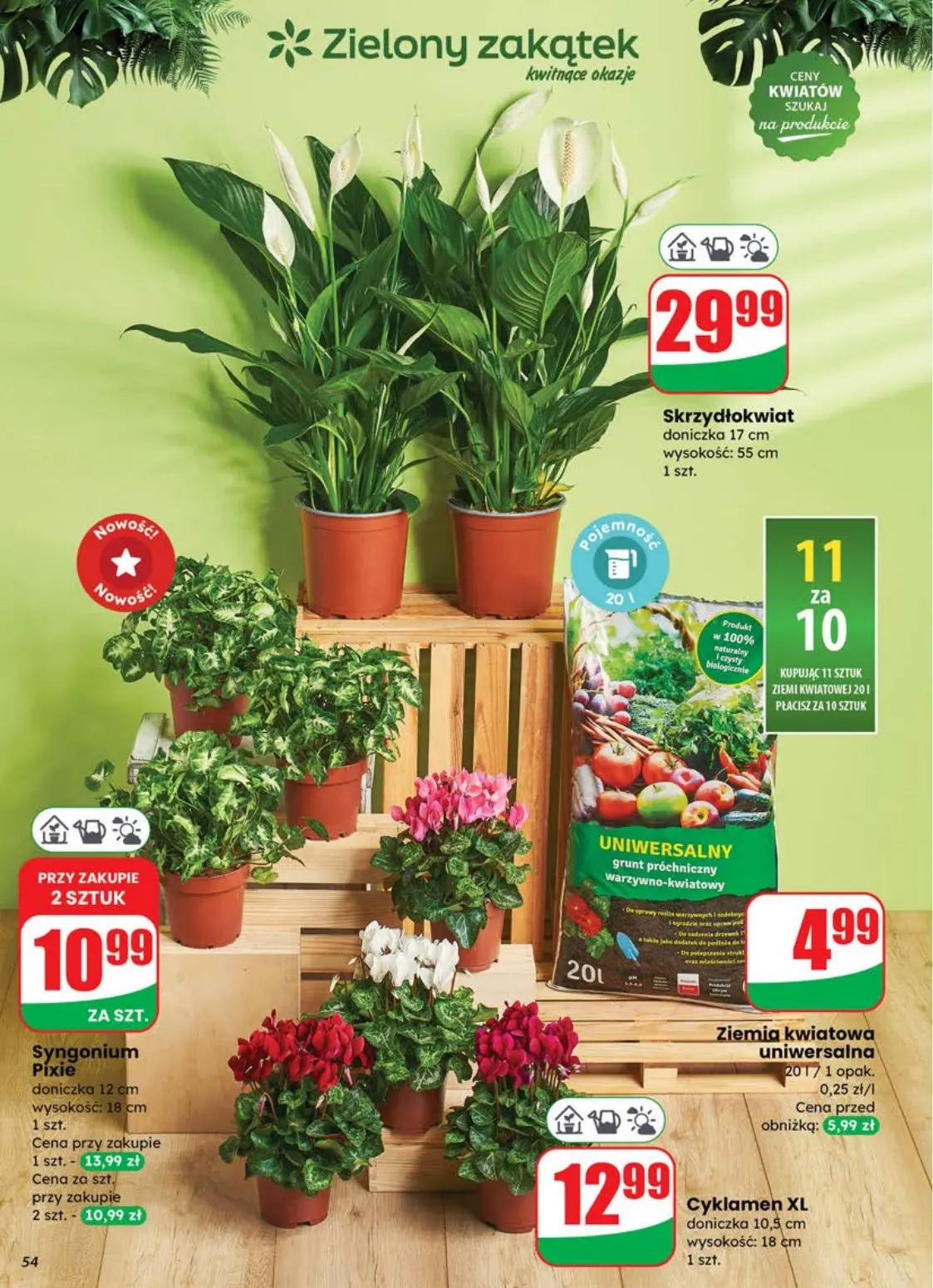 gazetka promocyjna dino Najbliżej Ciebie - Strona 54