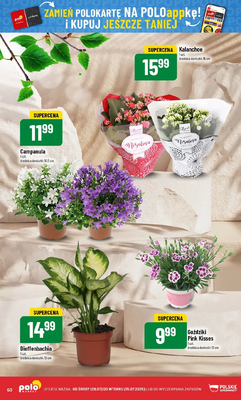 gazetka promocyjna POLOmarket Do Polo po świeżości - Strona 60