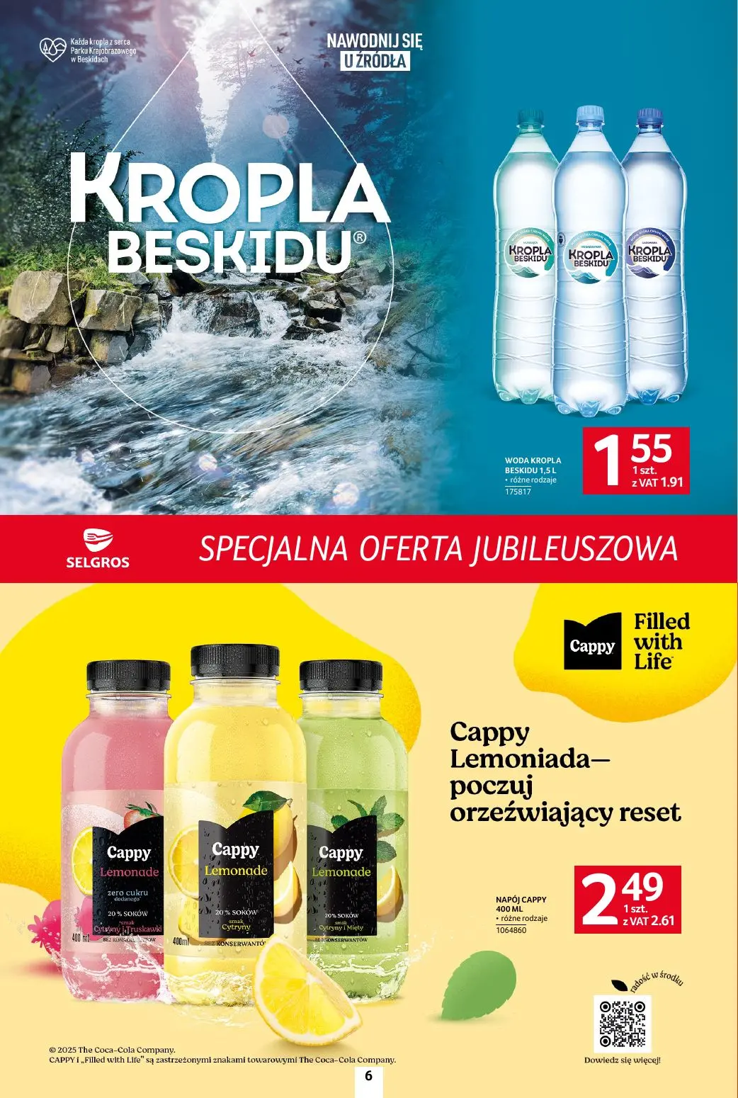 gazetka promocyjna SELGROS Specjalna Oferta Jubileuszowa - Strona 6
