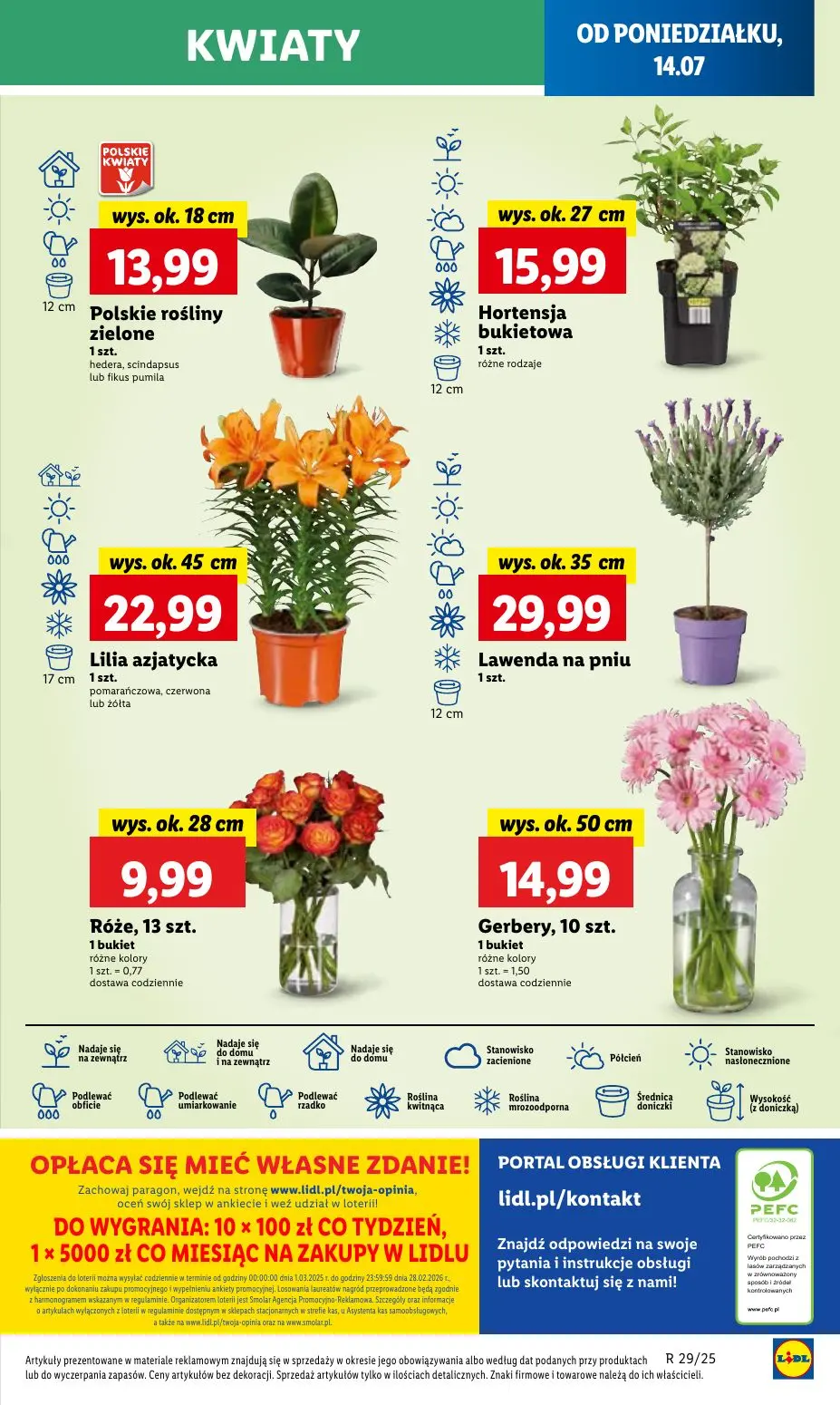 gazetka promocyjna LIDL Od poniedziałku - Strona 59