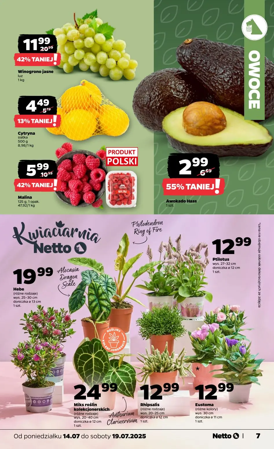 gazetka promocyjna NETTO Tanio i świeżo - Strona 7