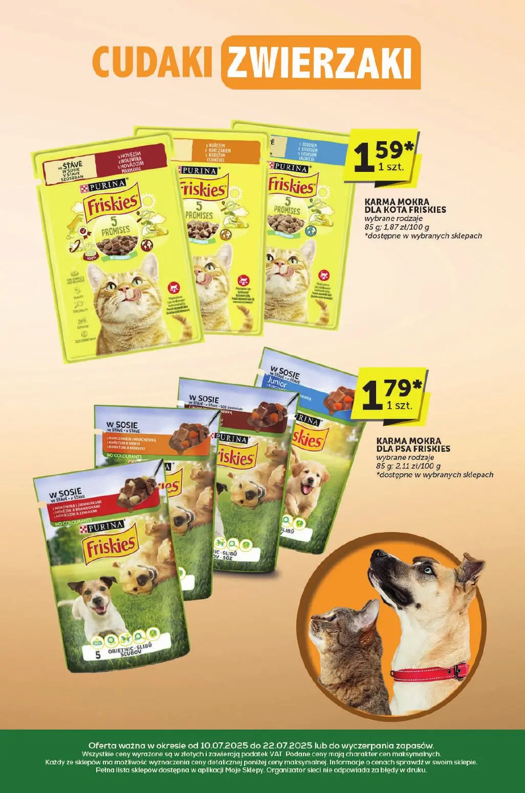 gazetka promocyjna groszek Katalog - Strona 31