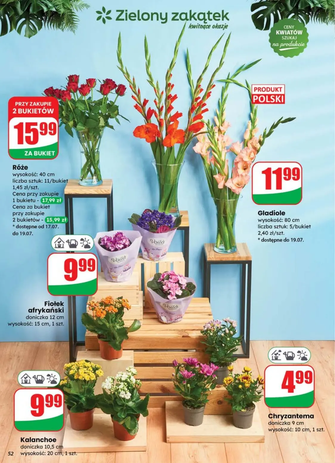gazetka promocyjna dino Najbliżej Ciebie - Strona 52