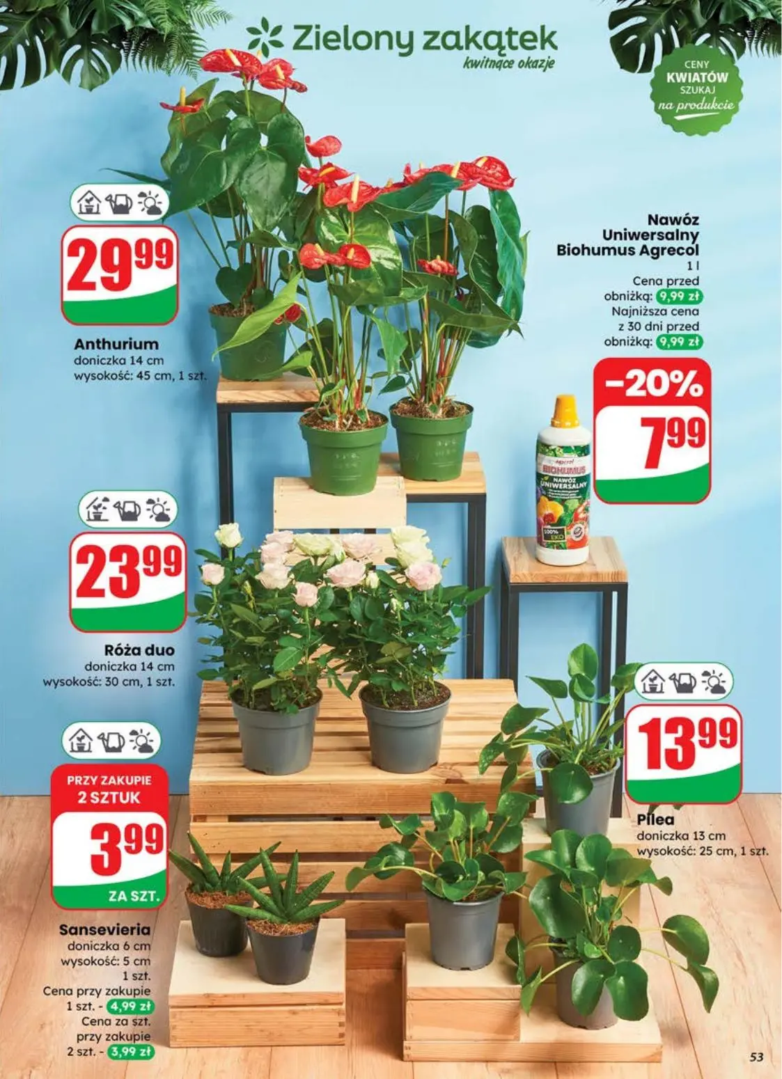 gazetka promocyjna dino Najbliżej Ciebie - Strona 53
