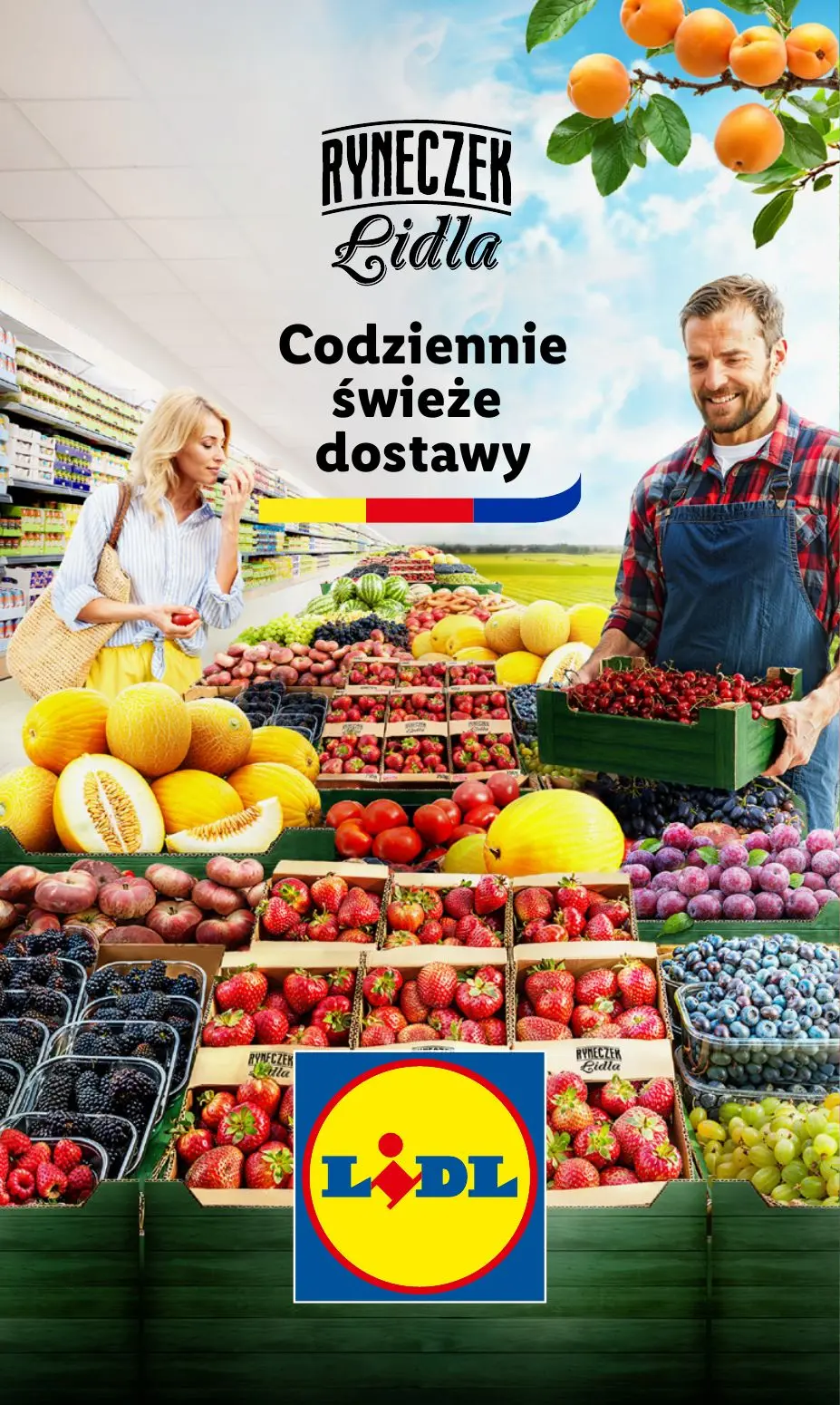 gazetka promocyjna LIDL Od poniedziałku - Strona 15