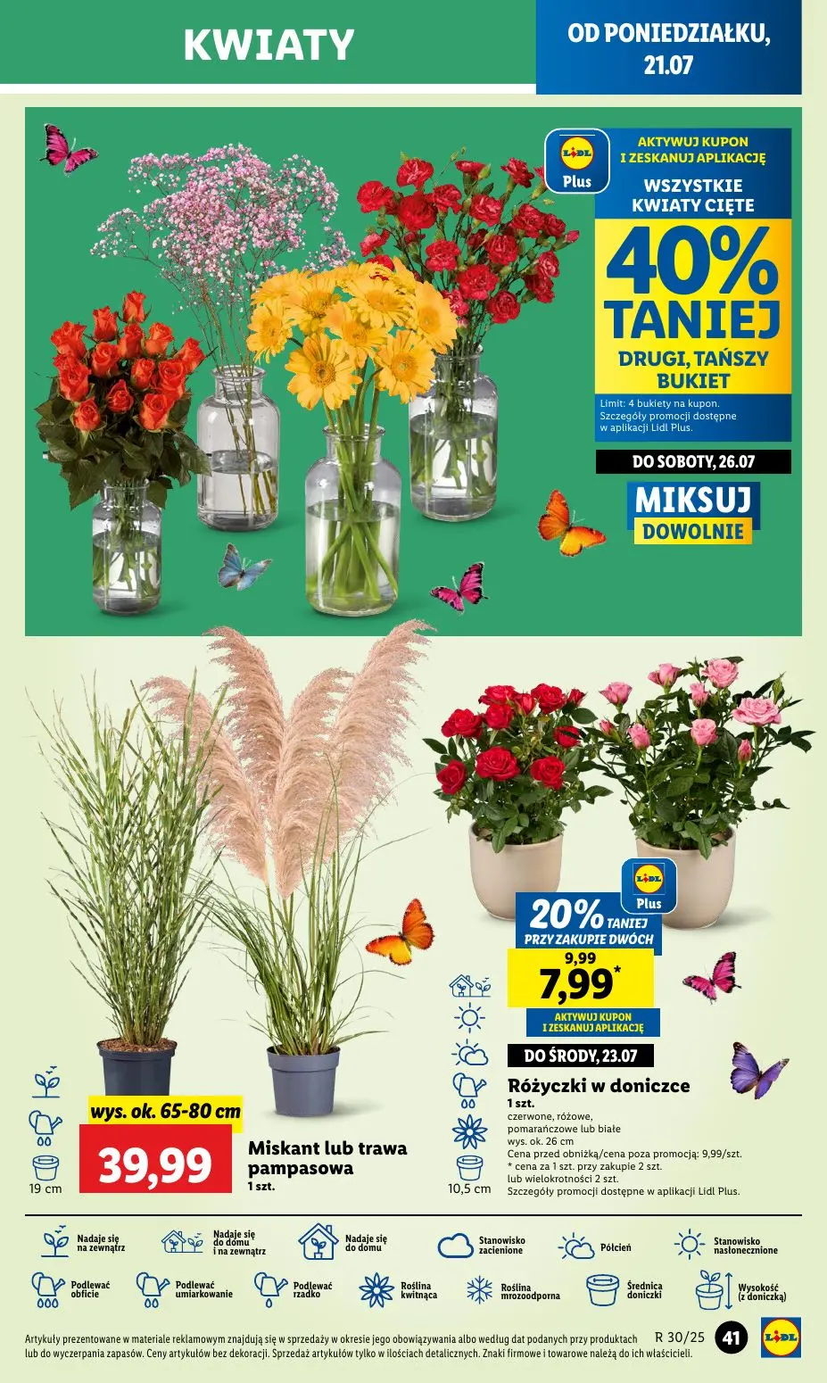 gazetka promocyjna LIDL Od poniedziałku - Strona 51