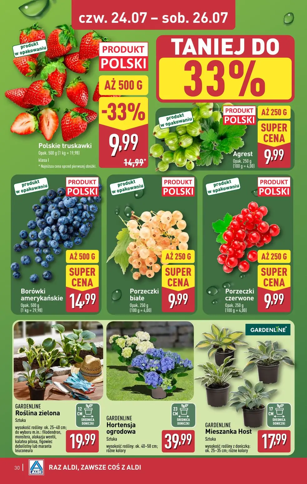 gazetka promocyjna ALDI Raz ALDI, zawsze coś z ALDI - Strona 30