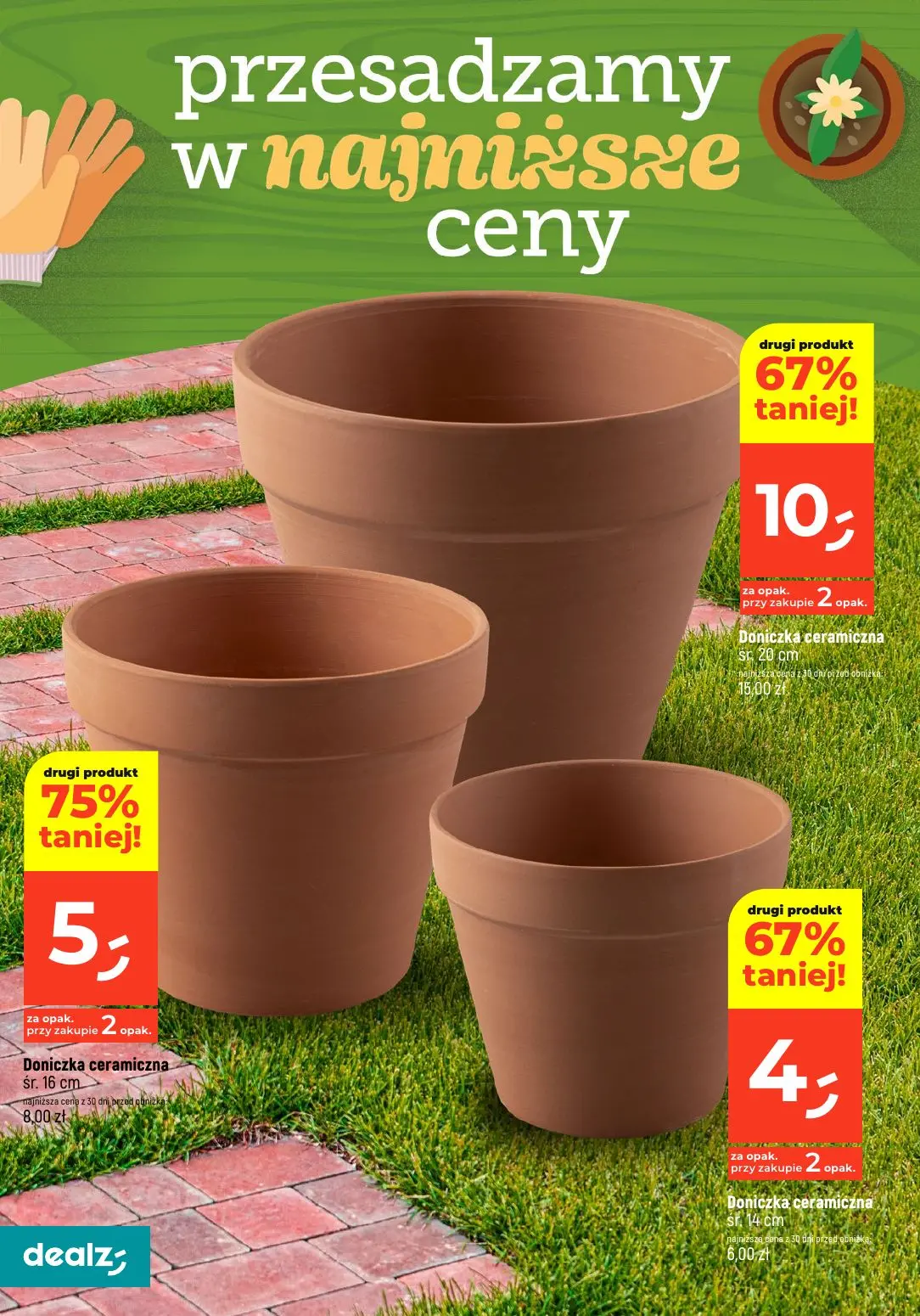 gazetka promocyjna Dealz PRZESADZAMY W NAJNIŻSZE CENY - Strona 22