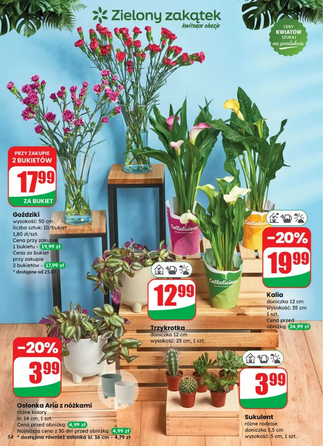 gazetka promocyjna dino Od środy - Strona 54