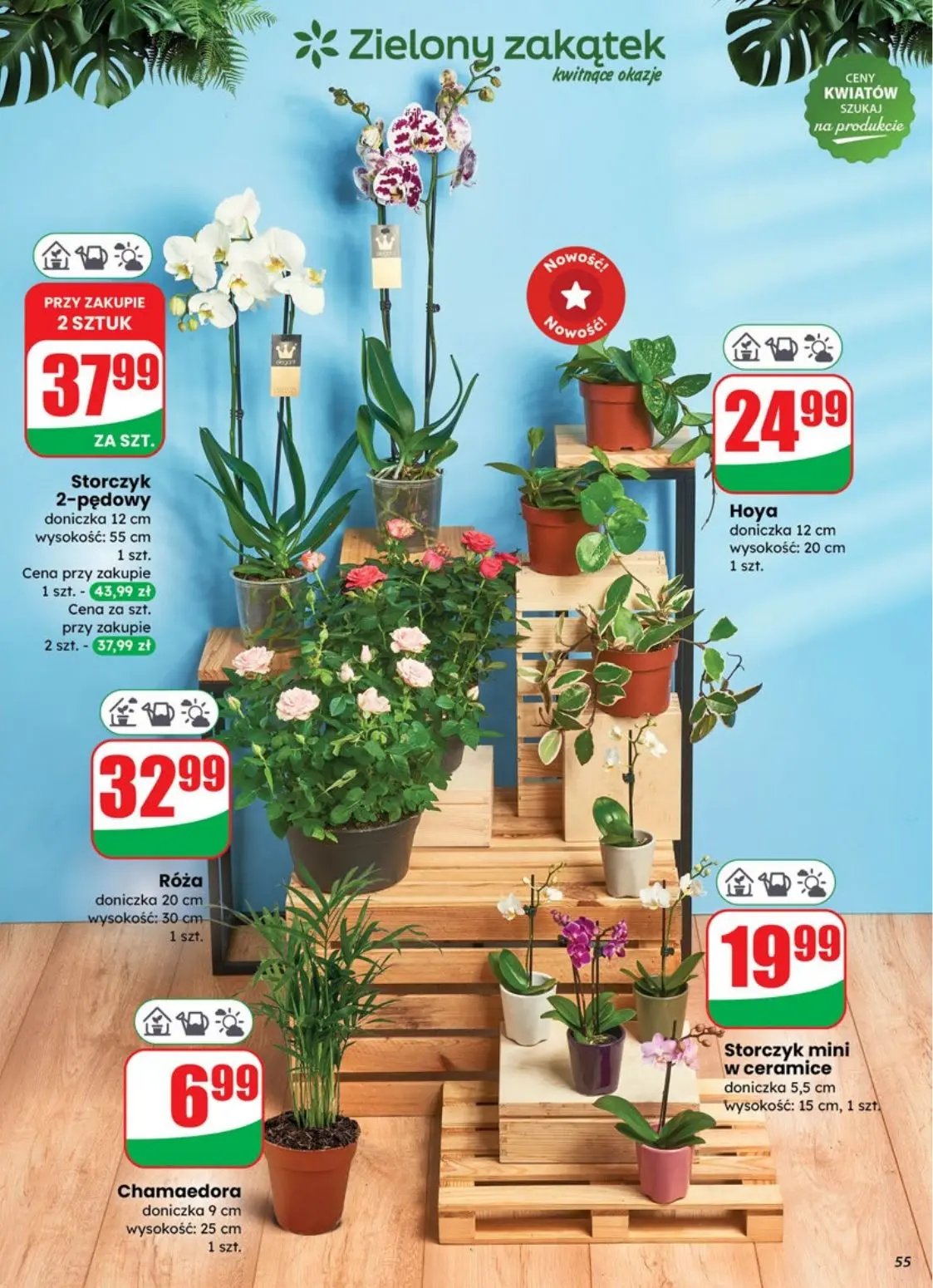gazetka promocyjna dino Od środy - Strona 55