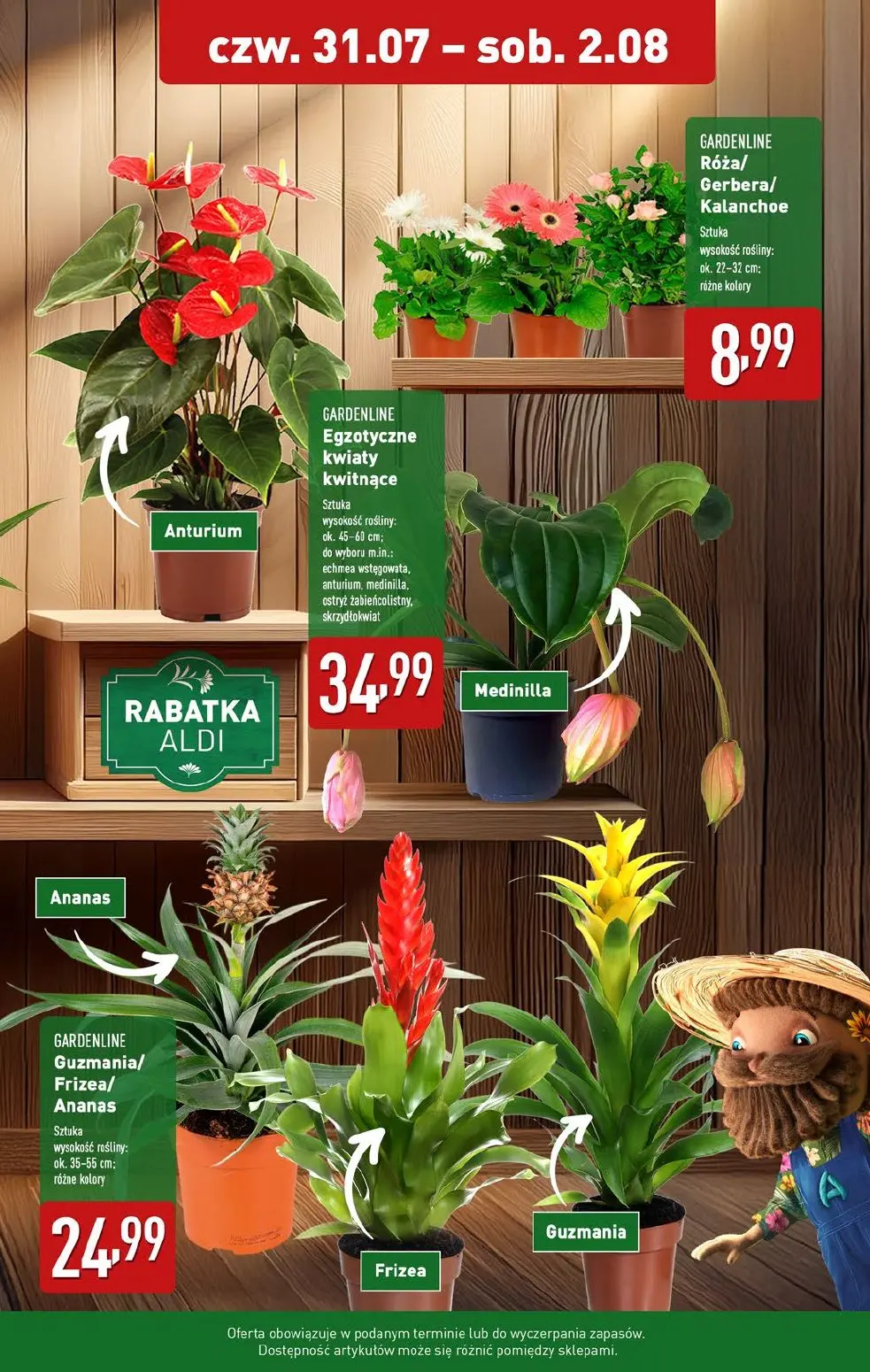 gazetka promocyjna ALDI Raz ALDI zawsze coś z ALDI - Strona 31