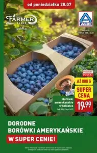 Gazetka promocyjna ALDI, ważna od 2025-07-28 do 2025-08-02.