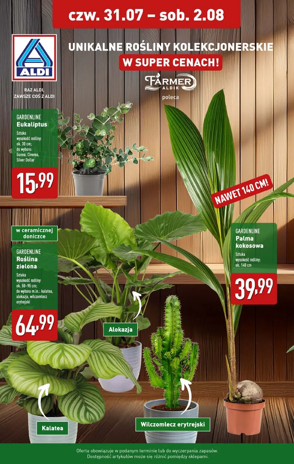 gazetka promocyjna ALDI Rośliny kolekcjonerskie 🪴 - Strona 1