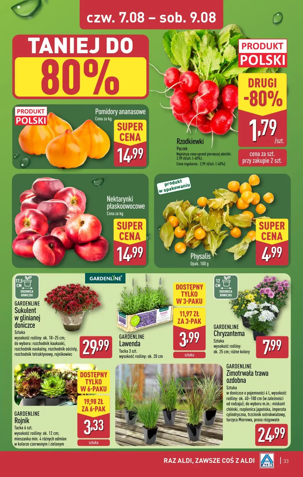 gazetka promocyjna ALDI Raz ALDI, zawsze coś z ALDI - Strona 33