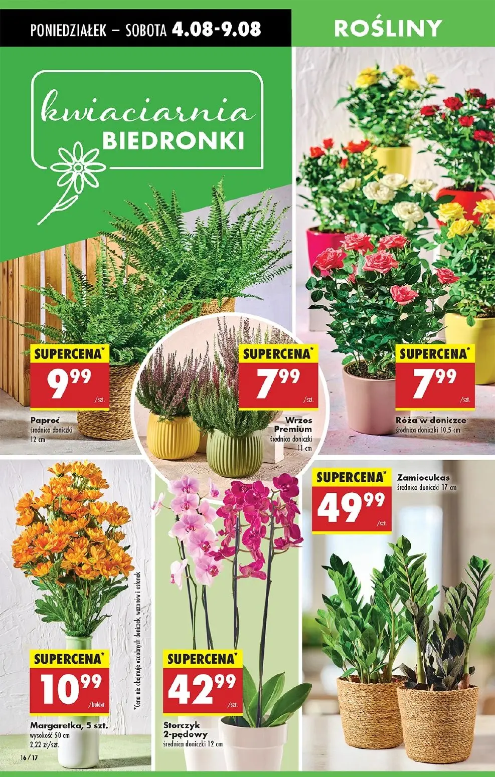 gazetka promocyjna Biedronka Od poniedziałku - Strona 21