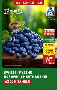 Gazetka promocyjna ALDI, ważna od 2025-08-11 do 2025-08-16.