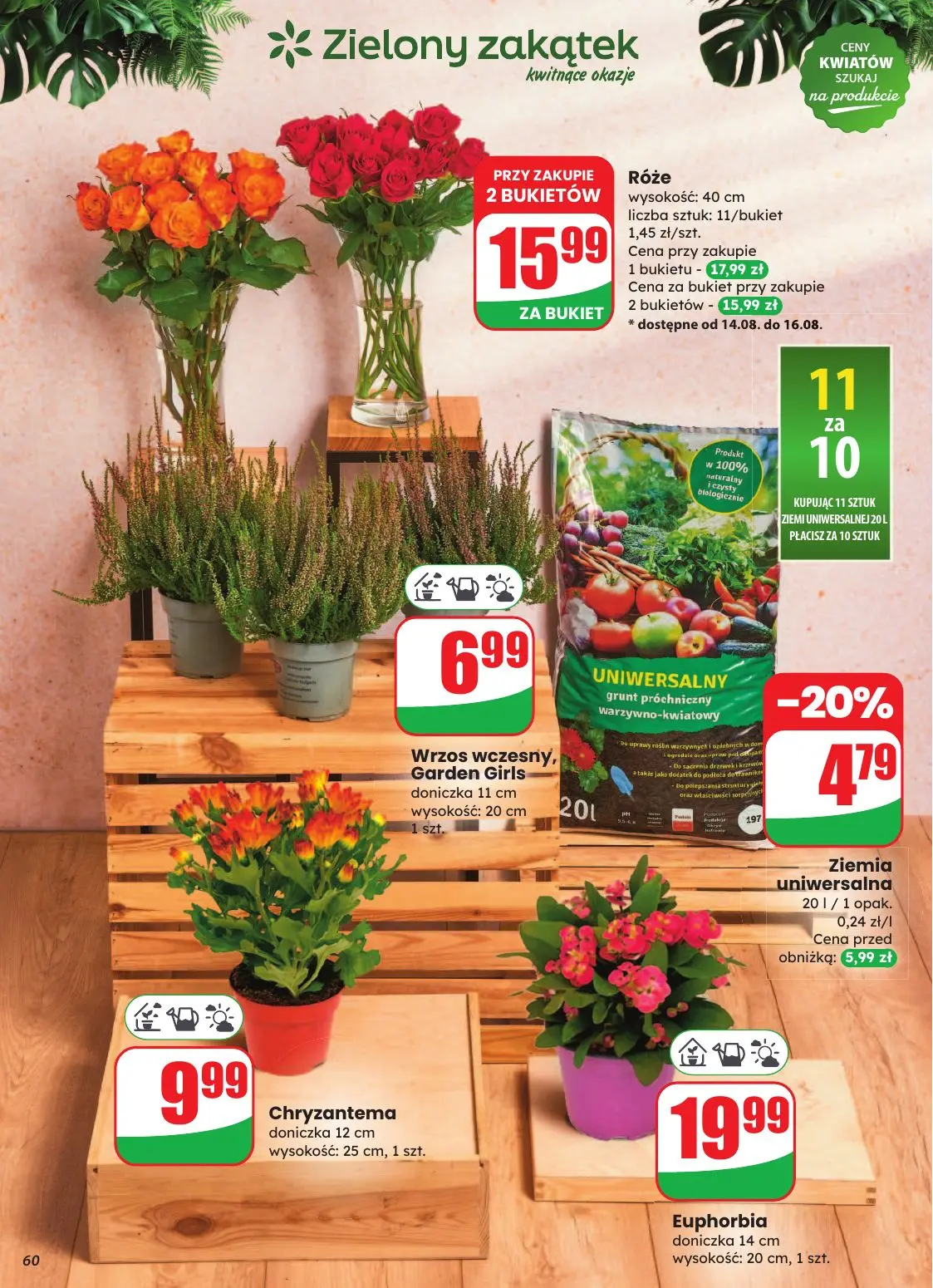 gazetka promocyjna dino Najbliżej Ciebie - Strona 60