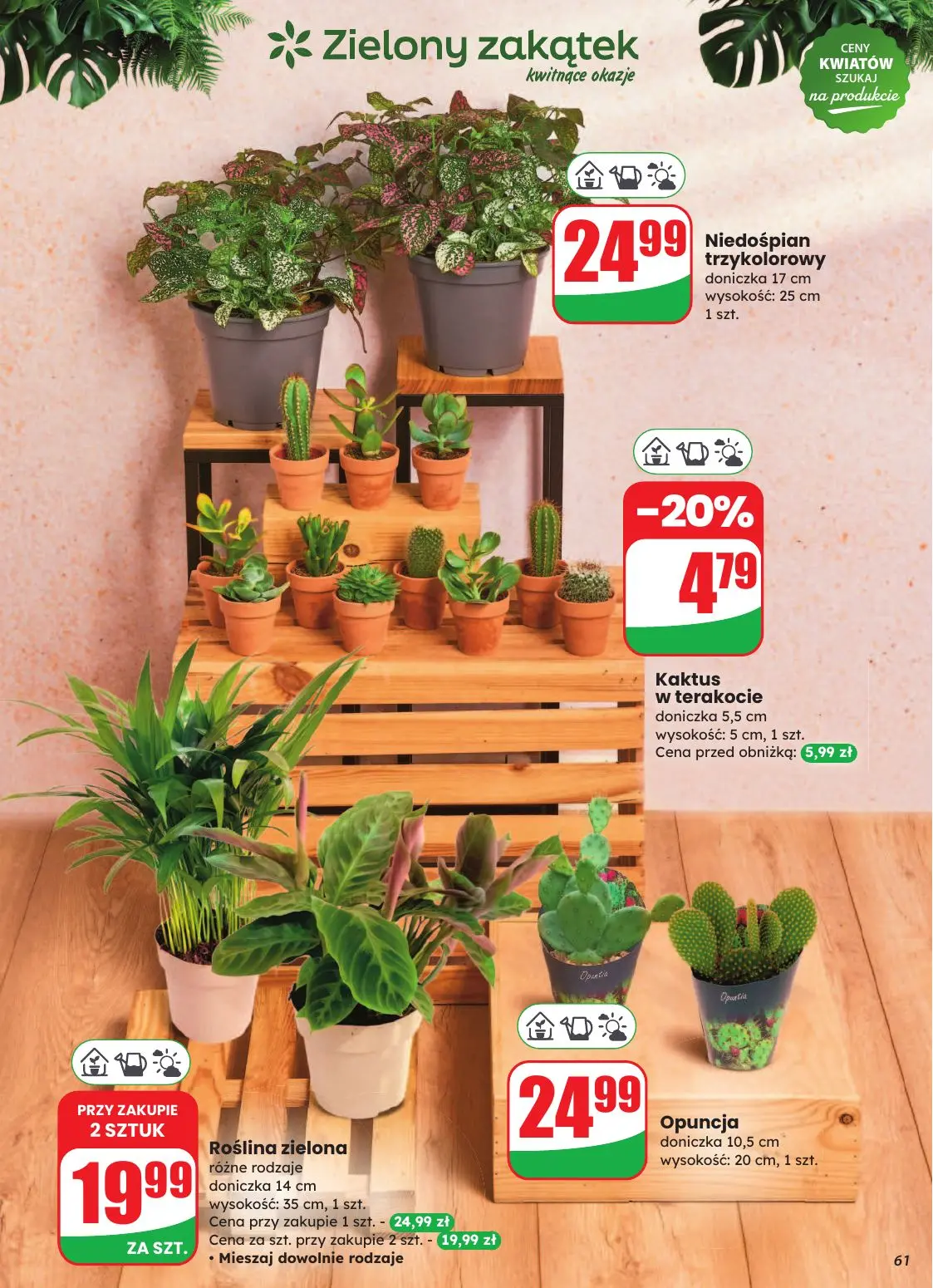 gazetka promocyjna dino Najbliżej Ciebie - Strona 61