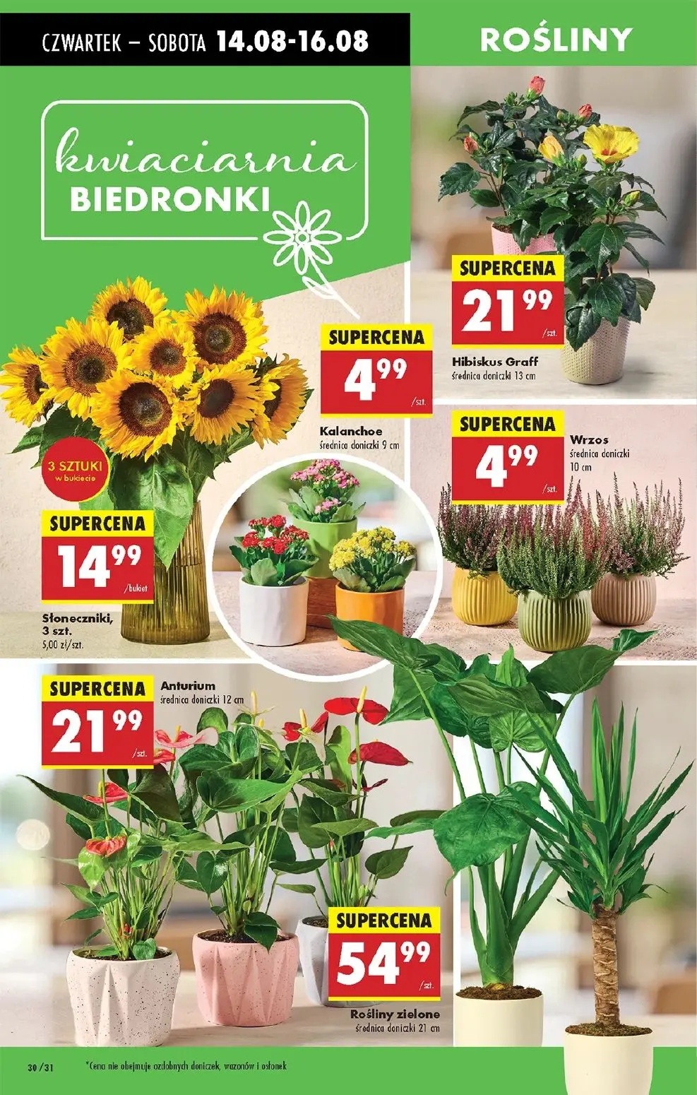 gazetka promocyjna Biedronka Od czwartku - Strona 36
