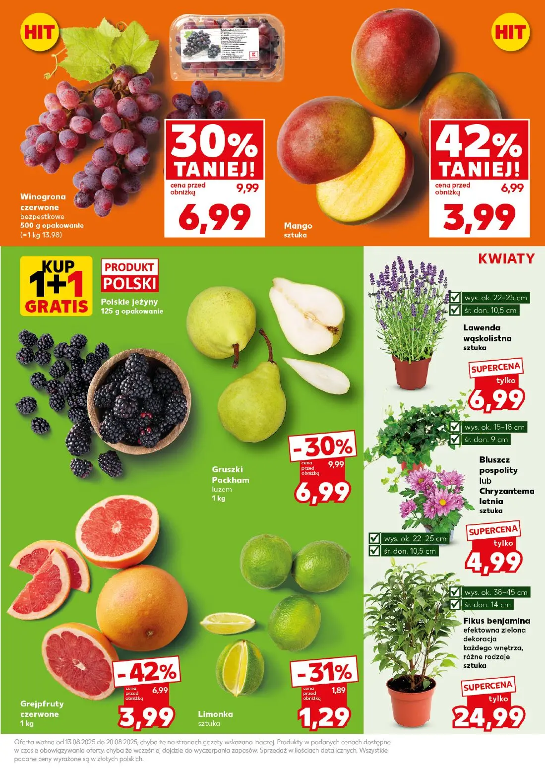 gazetka promocyjna Kaufland Mocny Start - Strona 13
