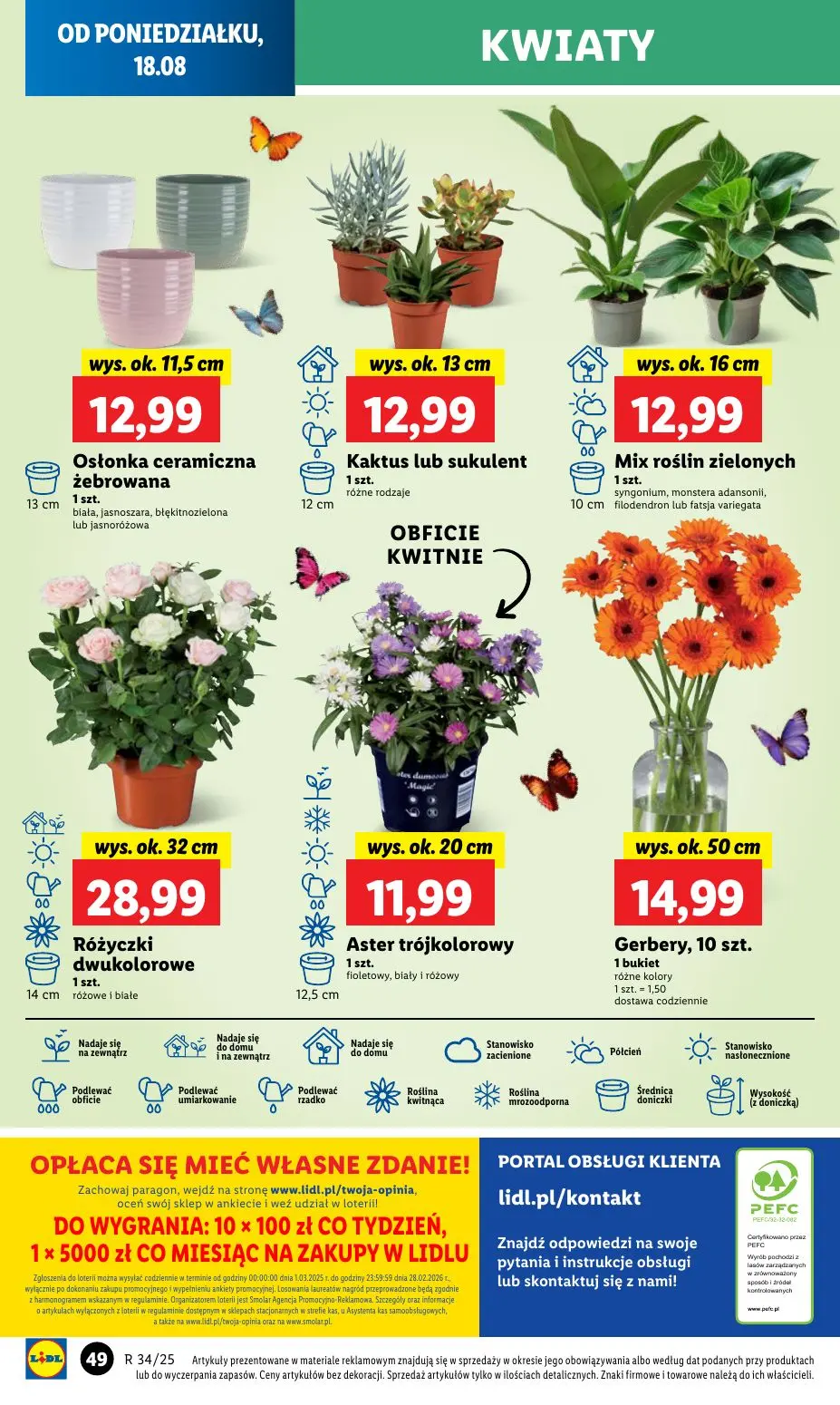 gazetka promocyjna LIDL Od poniedziałku  - Strona 64