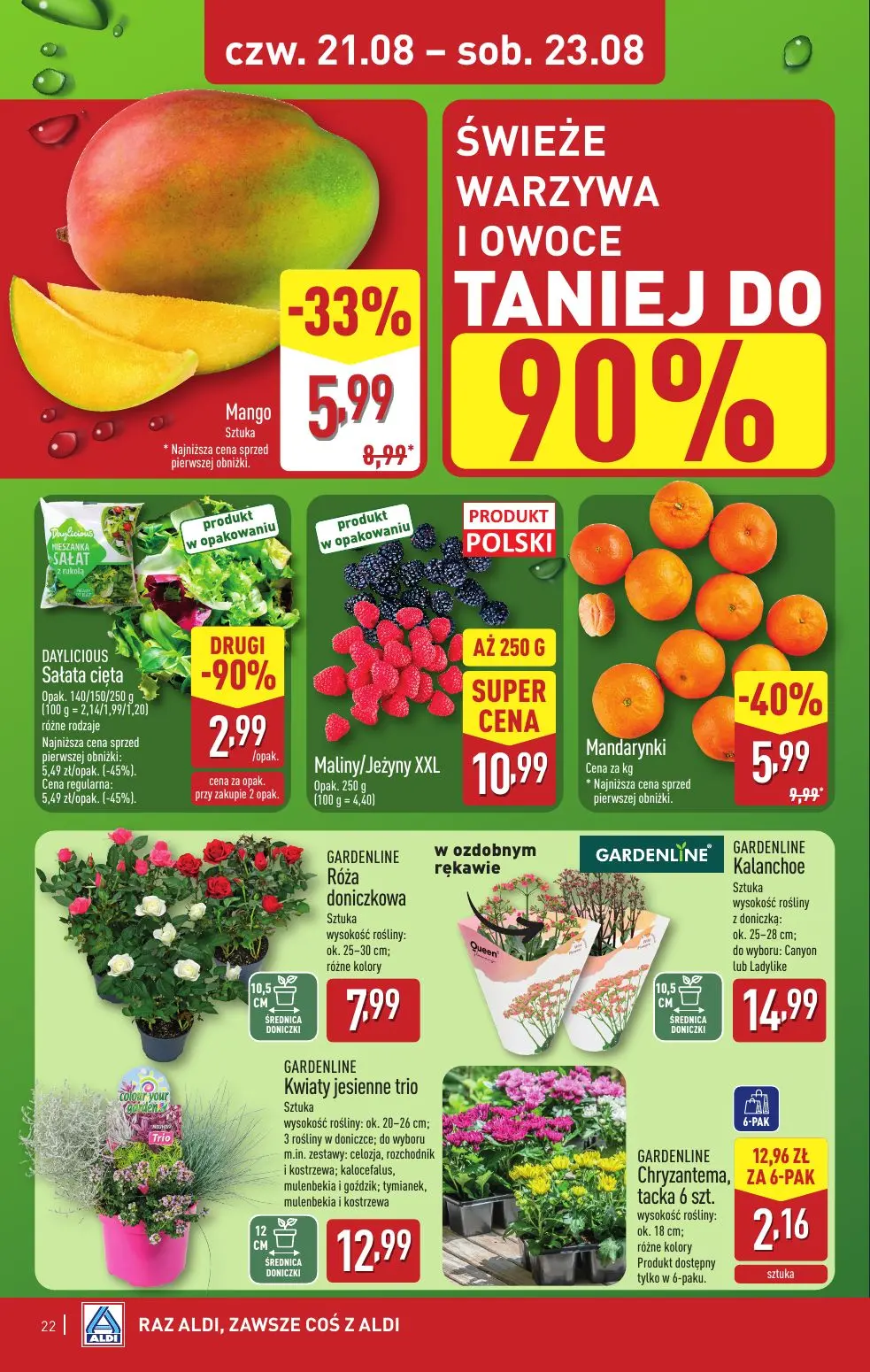 gazetka promocyjna ALDI Raz ALDI, zawsze coś z ALDI - Strona 22