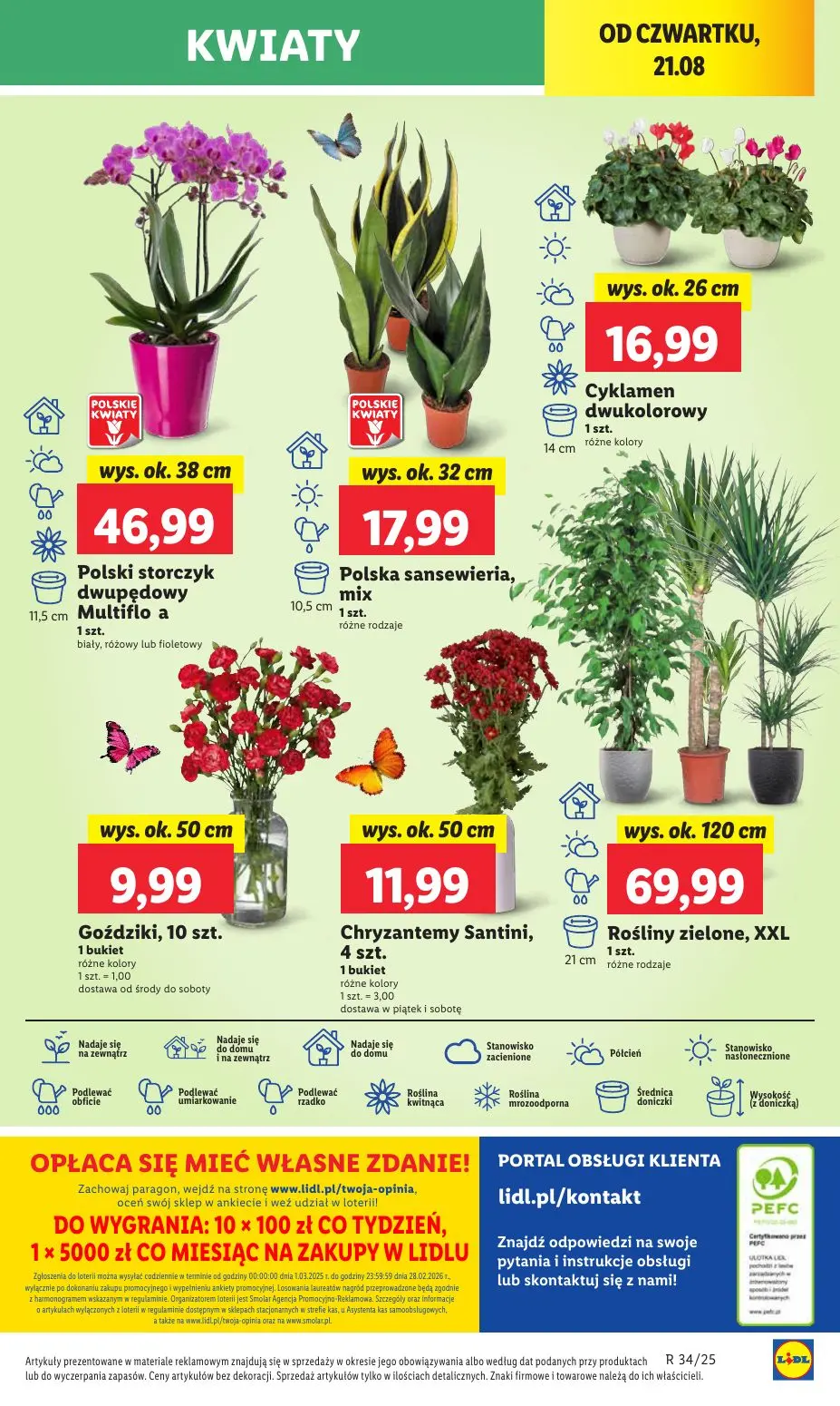 gazetka promocyjna LIDL Od czwartku - Strona 49