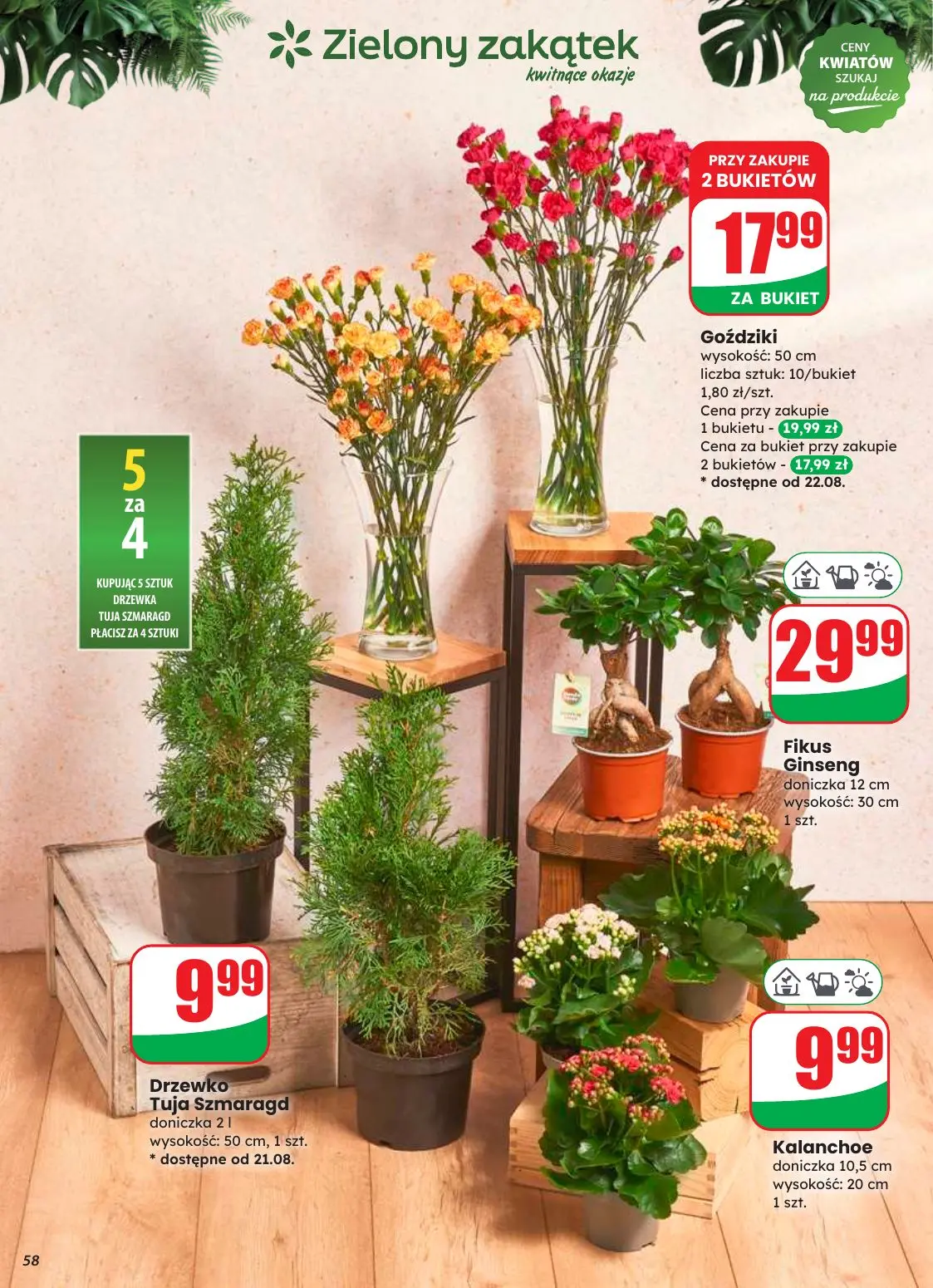 gazetka promocyjna dino Powrót do szkoły - Strona 58