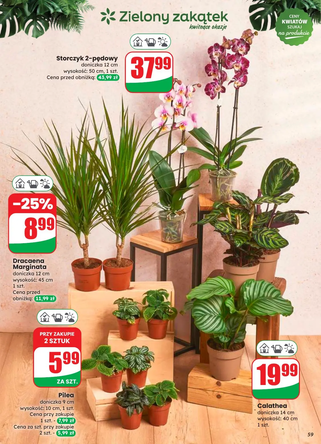 gazetka promocyjna dino Powrót do szkoły - Strona 59
