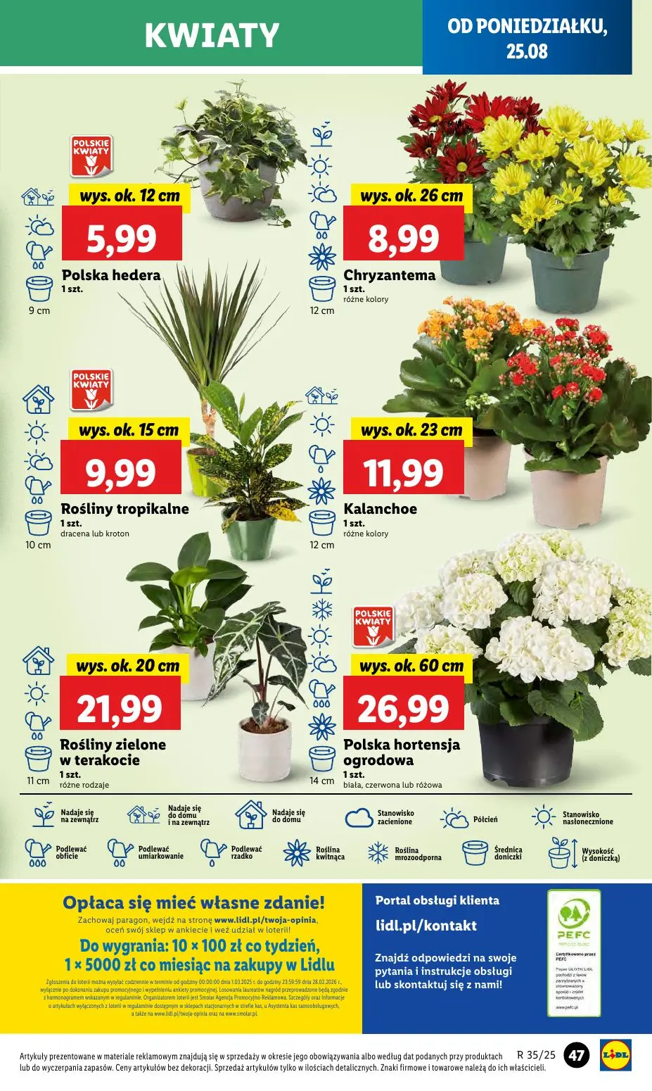 gazetka promocyjna LIDL Od poniedziałku - Strona 53