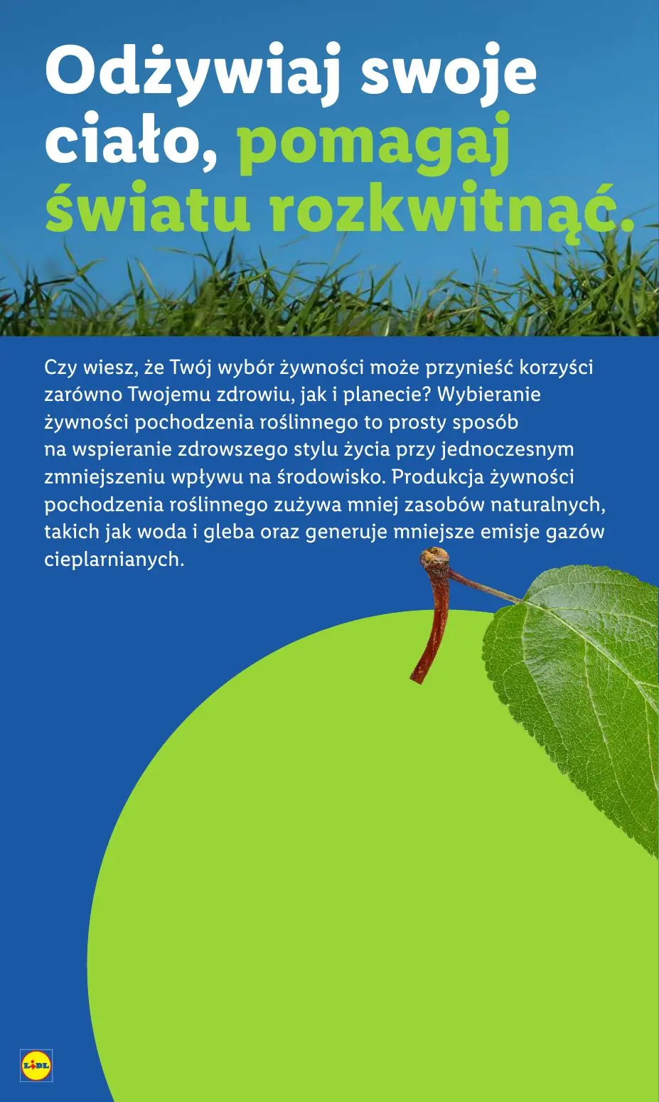 gazetka promocyjna LIDL Od poniedziałku - Strona 64