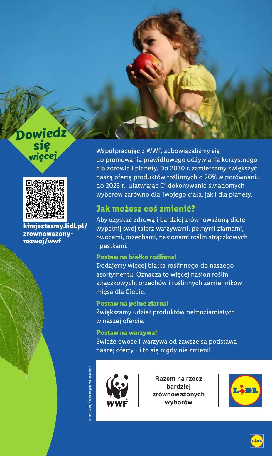 gazetka promocyjna LIDL Od poniedziałku - Strona 65