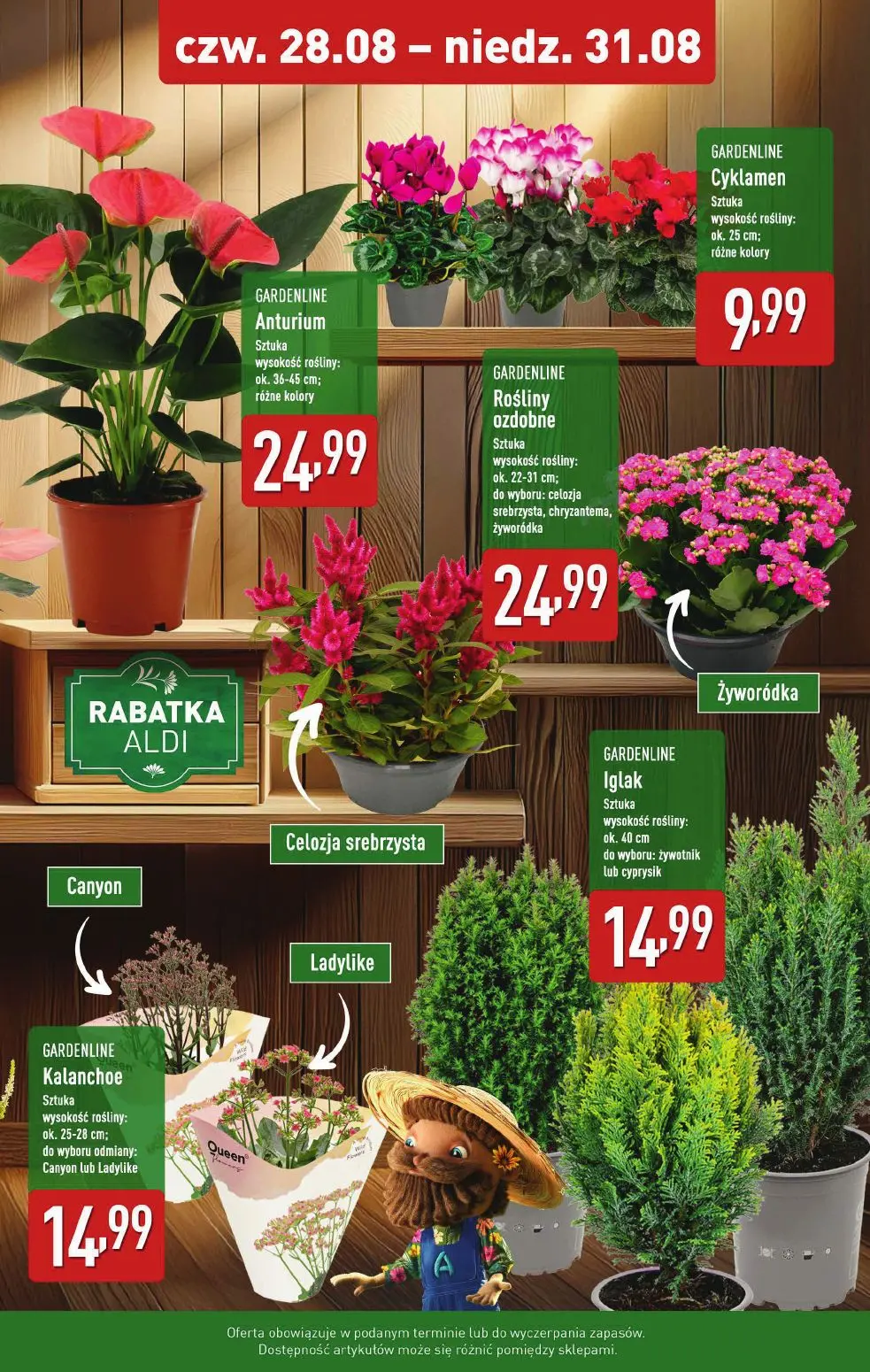 gazetka promocyjna ALDI Weekend super cen już od czwartku! - Strona 9