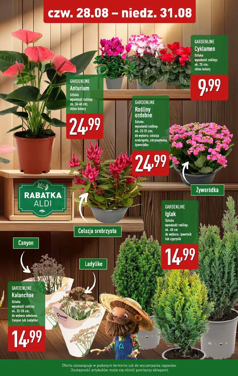 gazetka promocyjna ALDI Weekend super cen już od czwartku! - Strona 9