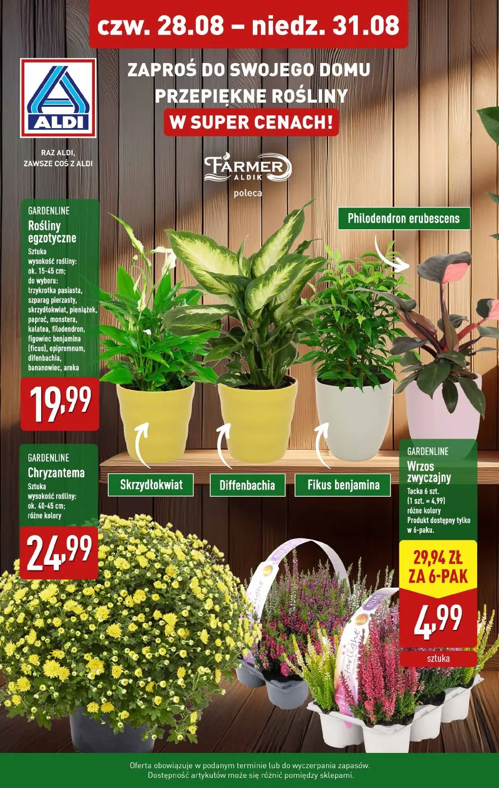 gazetka promocyjna ALDI Rośliny doniczkowe 🪴 - Strona 1