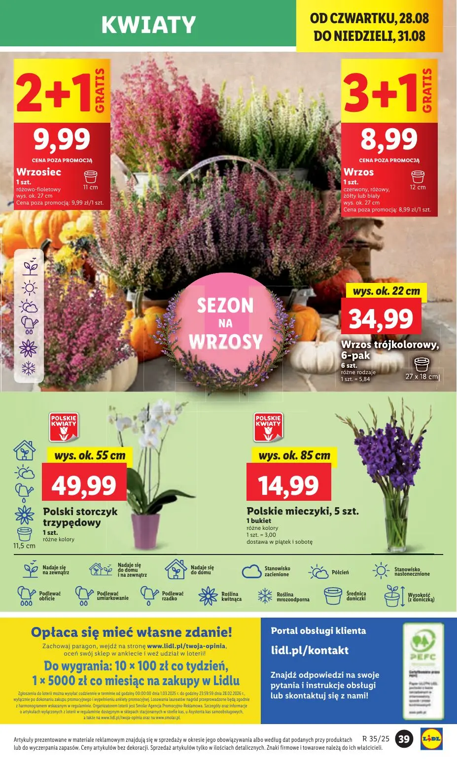 gazetka promocyjna LIDL Od czwartku - Strona 43