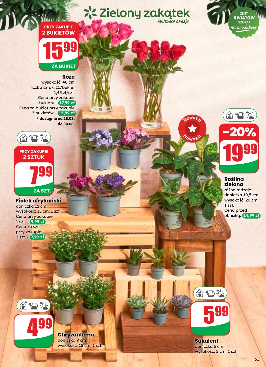 gazetka promocyjna dino Najlbliżej Ciebie - Strona 53