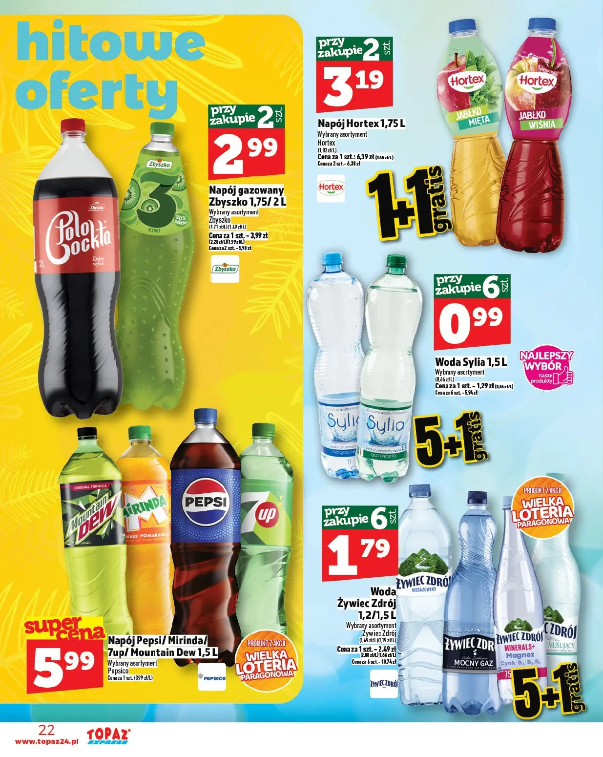 gazetka promocyjna Topaz Express - Strona 22
