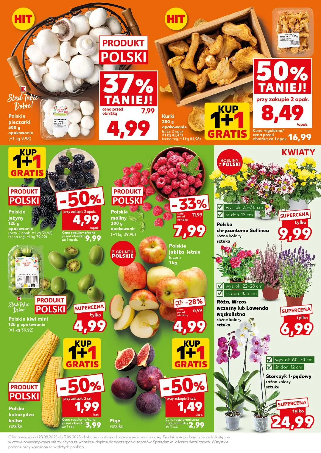 gazetka promocyjna Kaufland Mocny start - Strona 13