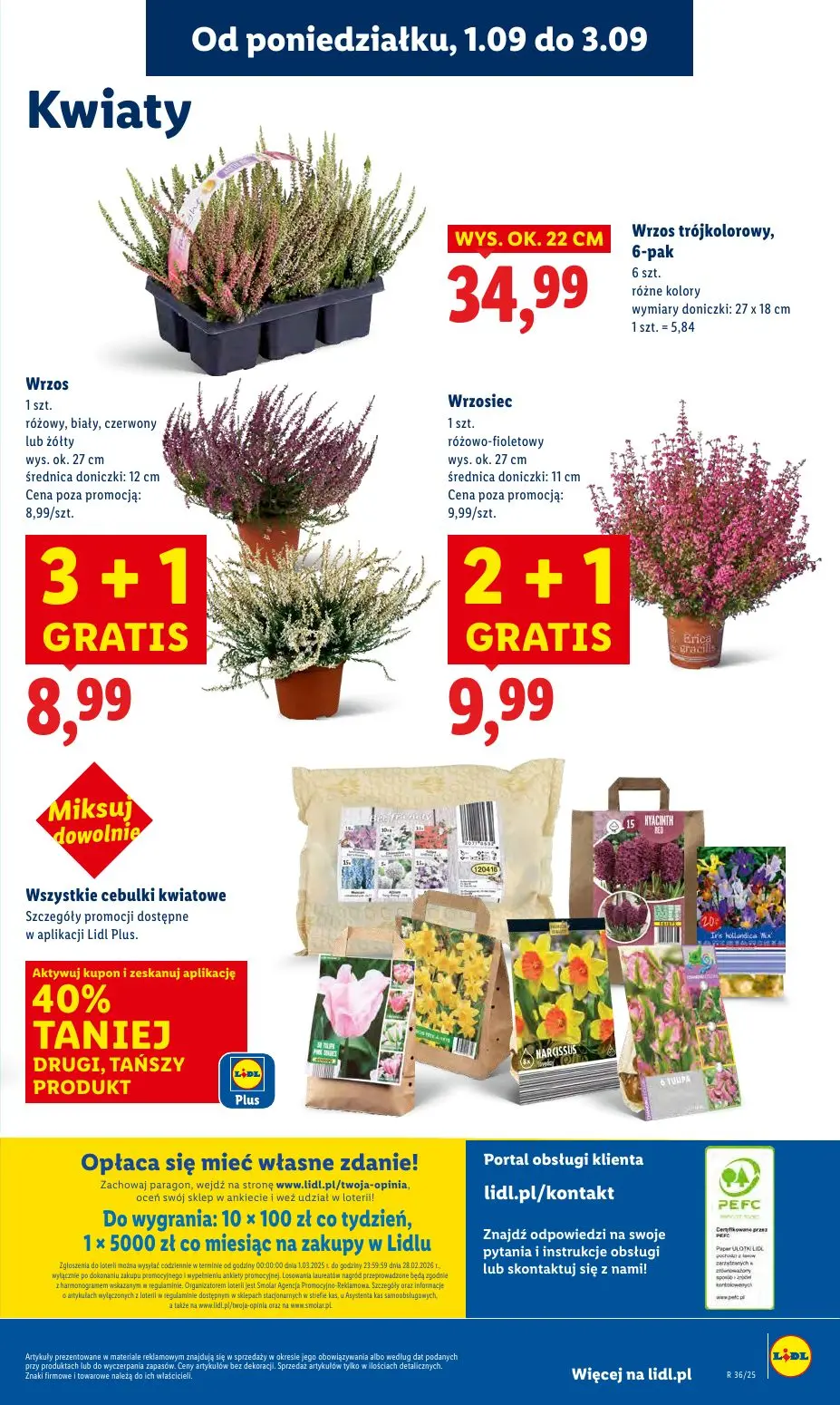 gazetka promocyjna LIDL Od poniedziałku - Strona 57
