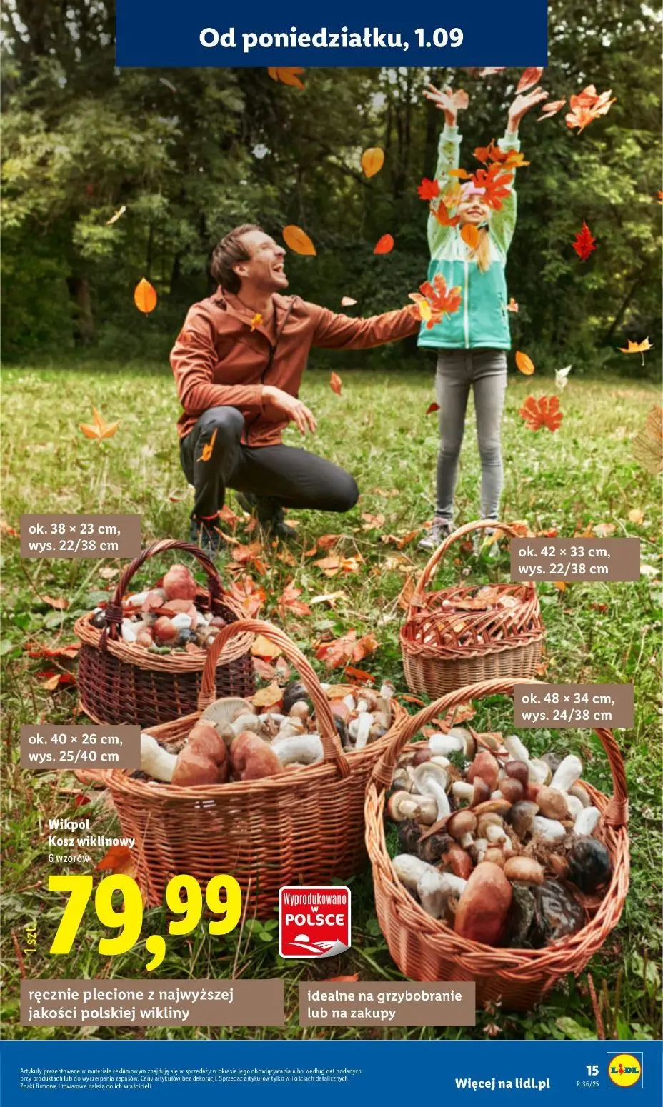 gazetka promocyjna LIDL Zrób to sam - Strona 17