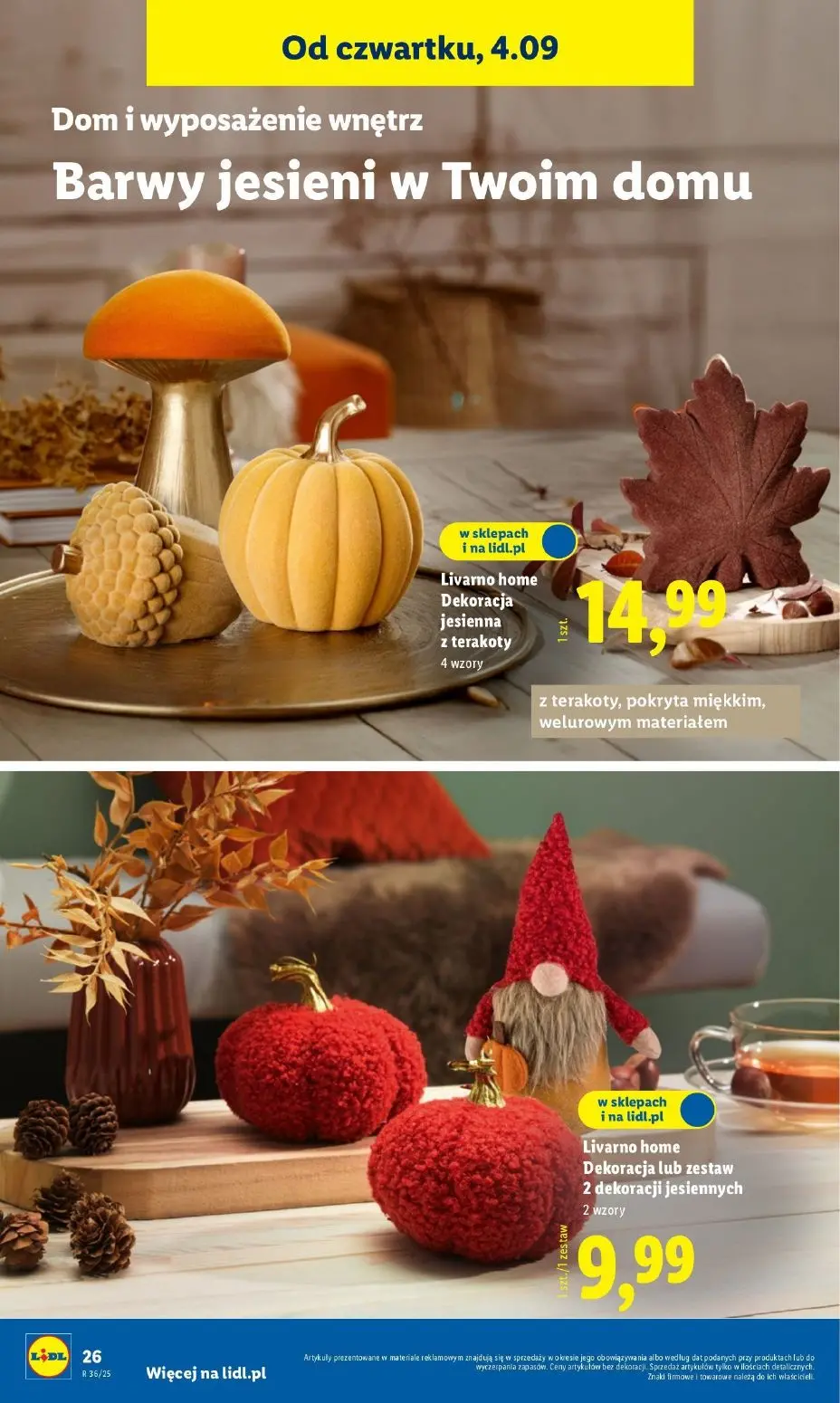 gazetka promocyjna LIDL Zrób to sam - Strona 28