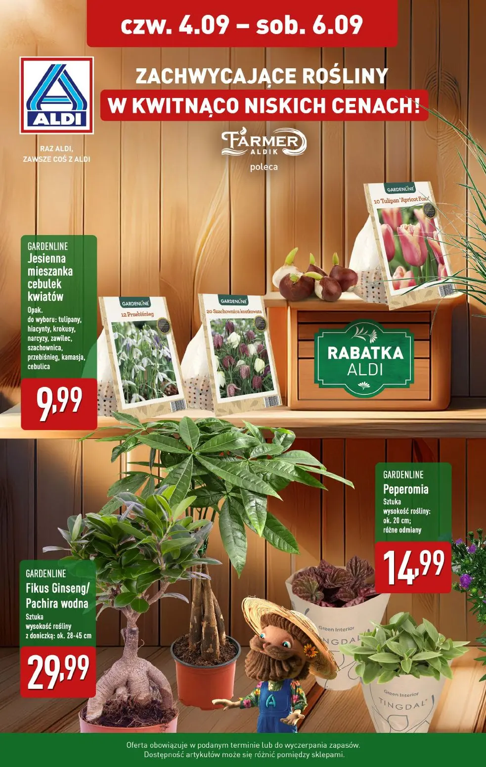 gazetka promocyjna ALDI Kwiaty doniczkowe 🪴 - Strona 1