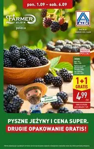 Gazetka promocyjna ALDI, ważna od 2025-09-01 do 2025-09-06.